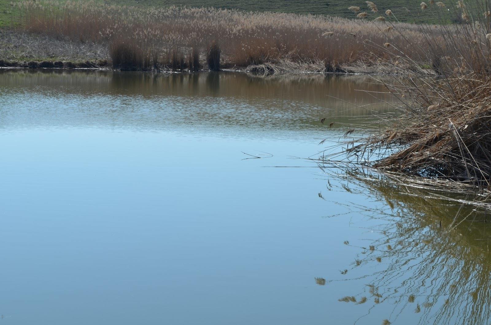 Teslui 2014 - part 1 - image11111111111111111111111111.jpg